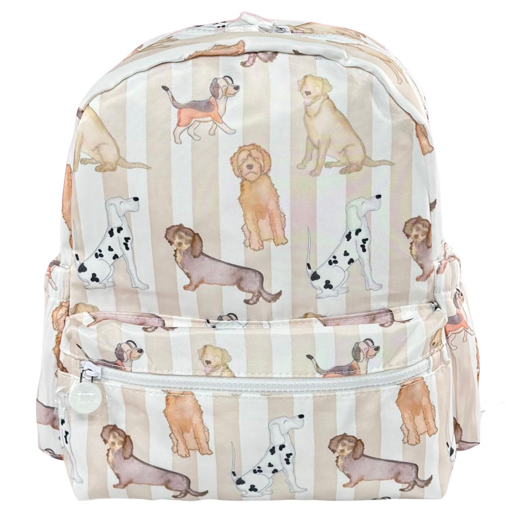Nylon Backpack (Full Size)